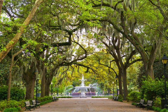 Fountain In Forsyth Park With Live Oaks Lining Pathway In Historic Area Savannah Georgia