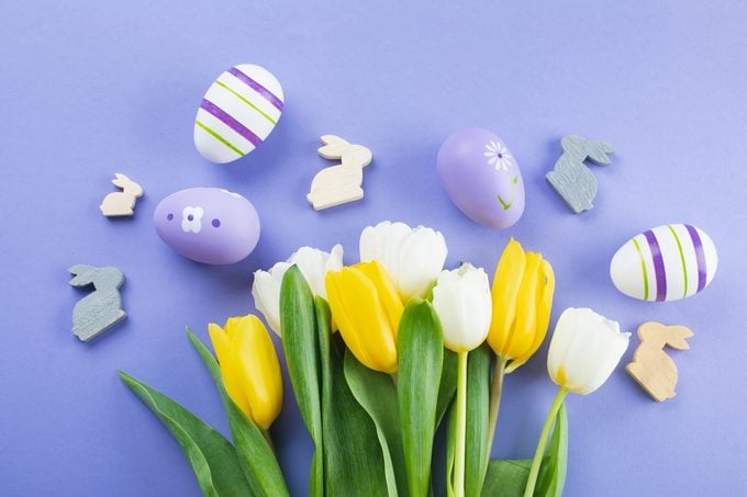 tulips, easter eggs and bunnies on a purple background. flat lay.