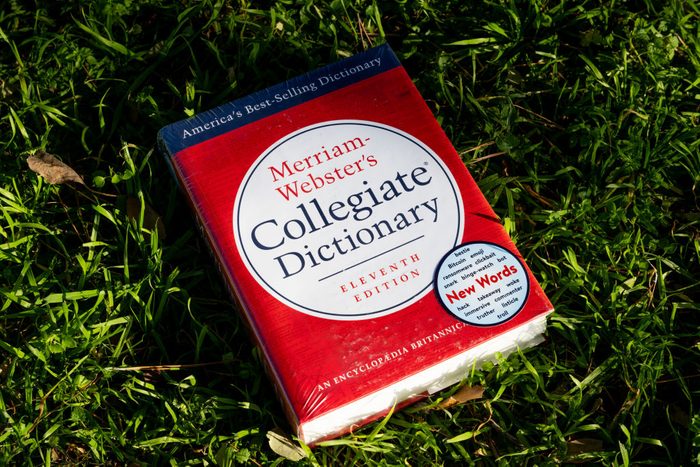 Merriam Dictionary in grass