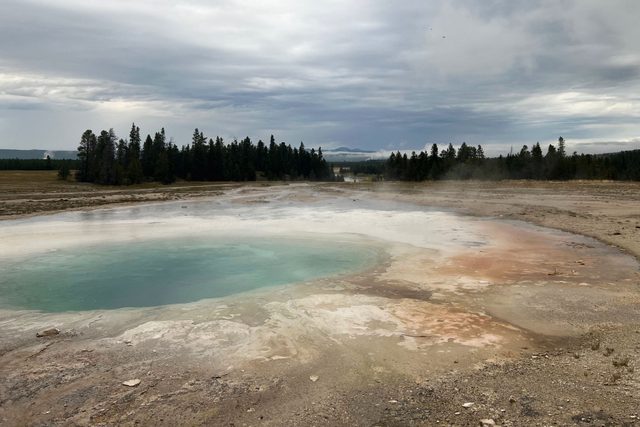 A view of Old Faithful in yellow stone