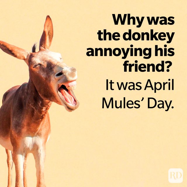April Fools Day Jokes To Make Everyone Laugh on yellow background