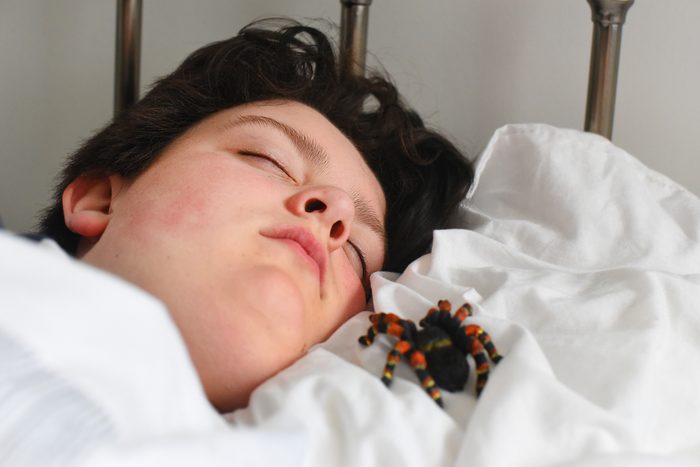 A teenage boy is asleep with a toy tarantula close to his face on April fools day 2019