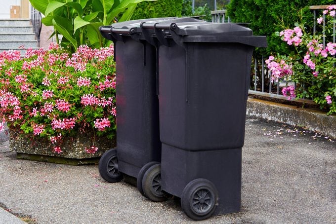 Two plastic garbage cans stand on clean asphalt against the background of flowering bushes on a sunny day. The concept of recycling garbage, city cleanliness