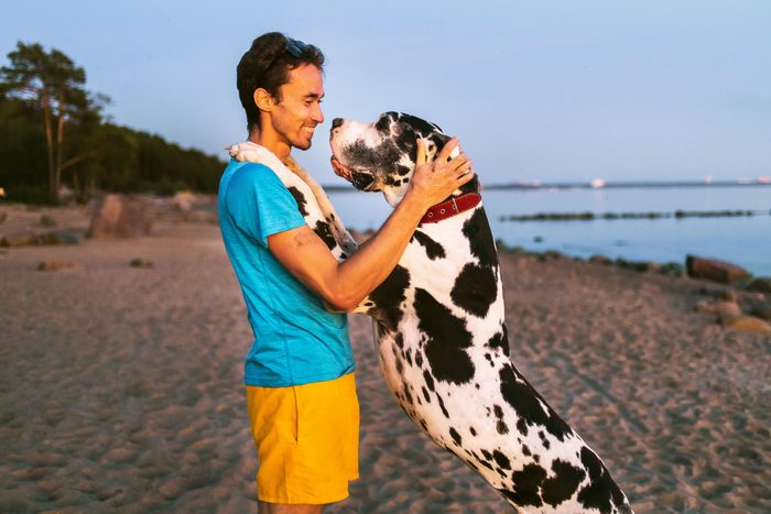 great dane with oner on the beach