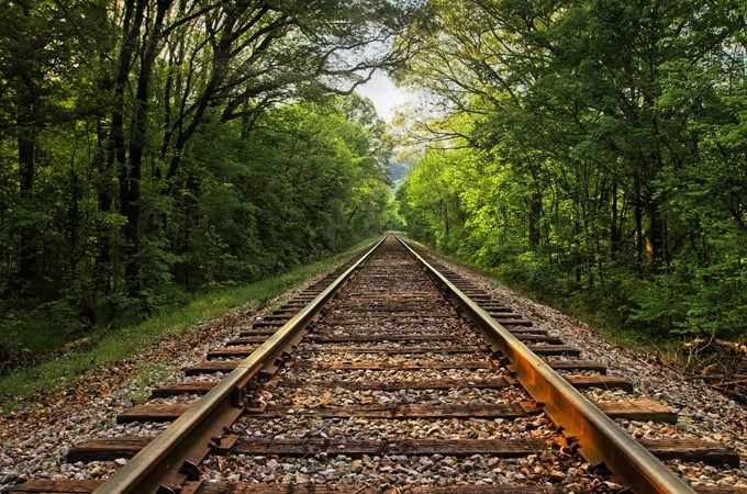 Empty railroad tracks amidst trees in forest,Ocoee,Tennessee,United States,USA