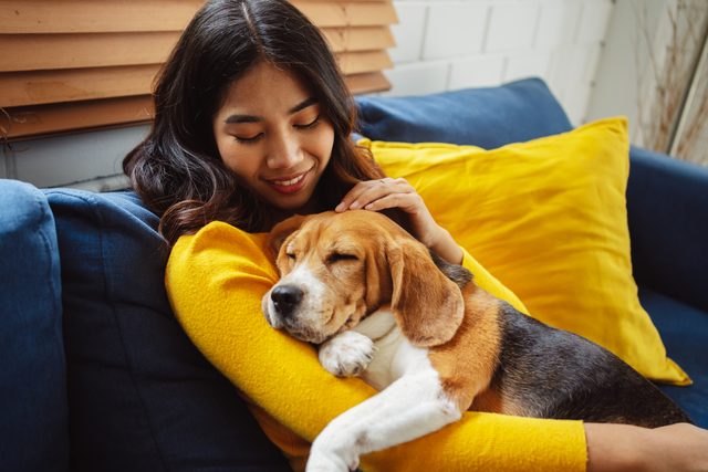 Happy asian woman enjoying her dog pet in the home, Friendship pet and human lifestyle concept.