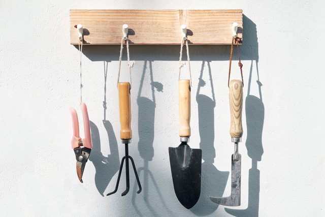 garden tools hanging in the sun