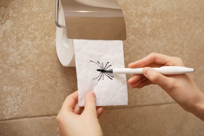 hand drawing a spider on toilet paper roll prank