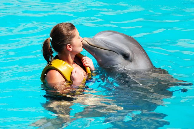 A picture of a young woman kissing a dolphin in a turquoise water