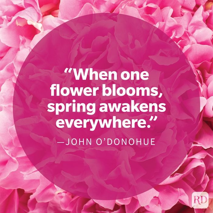 Warm And Cheerful Spring Quotes To Brighten Your Day by John O'Donohue