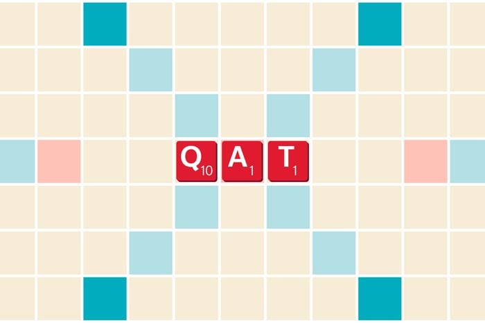 35 Best Scrabble Words To Help You Win The Game Graphic Qat