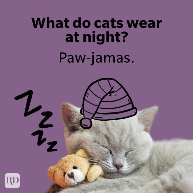 50 Cat Puns That Are Paws Itvely Purrfect Cat Puns For Kids Graphic