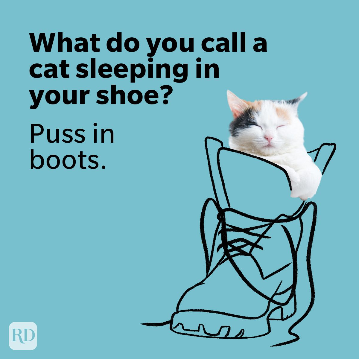 50 Cat Puns That Are Paws Itvely Purrfect Ft Graphic