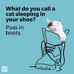 50 Cat Puns That Are Paws Itvely Purrfect Ft Graphic
