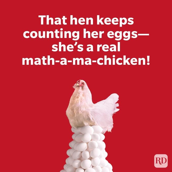 Animal Puns That Are Fur Ever Funny with a chicken on a lot of eggs on red background