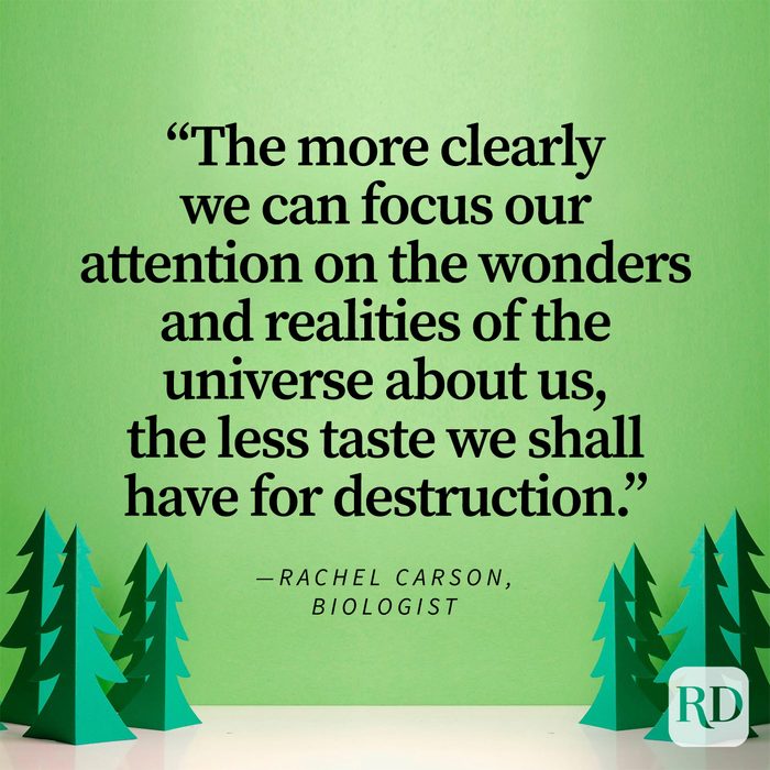 Earth Day Quotes That Remind Us To Cherish Our Planet Rachel Carson Getty Images 2