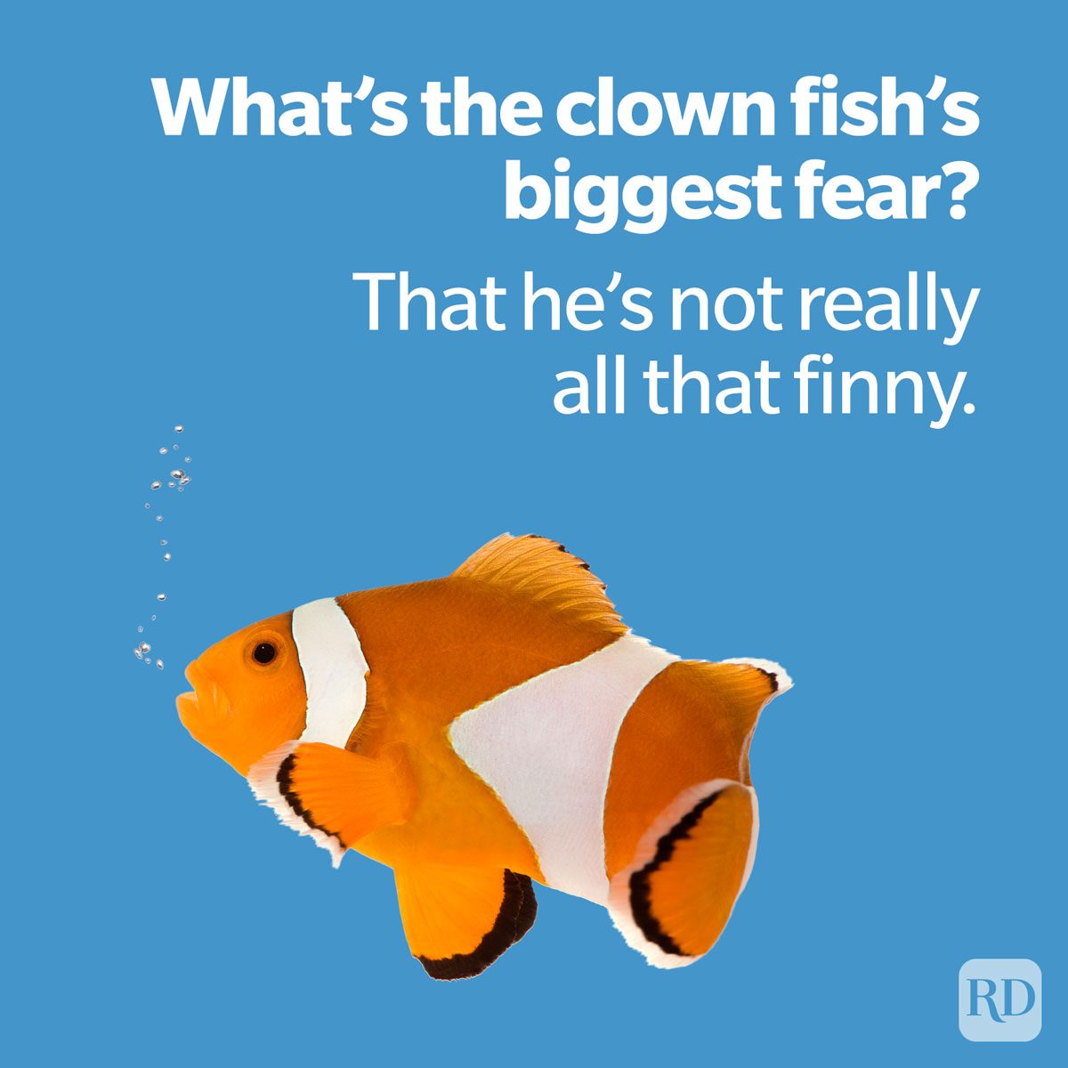 joke about a clown fish fearing not being finny on blue background