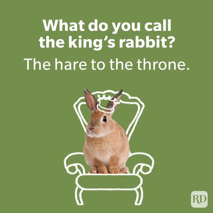 Funniest Laffy Taffy Jokes To Sweeten Your Day hare on a throne with a crown on a green background