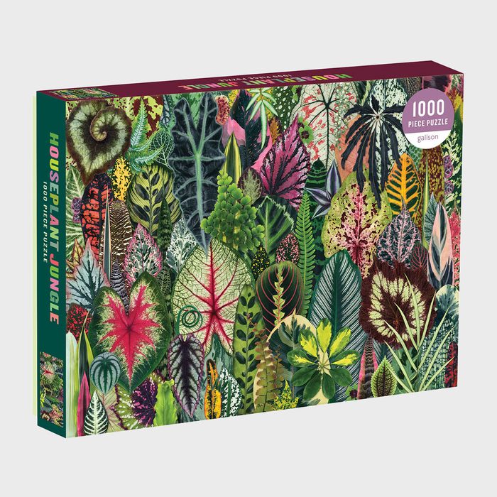 Galison Houseplant Jungle 1,000 Piece Puzzle