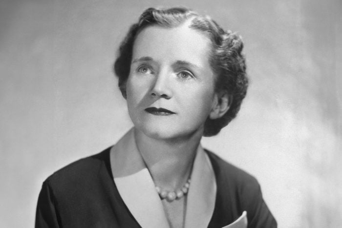 Biologist And Author Rachel Carson