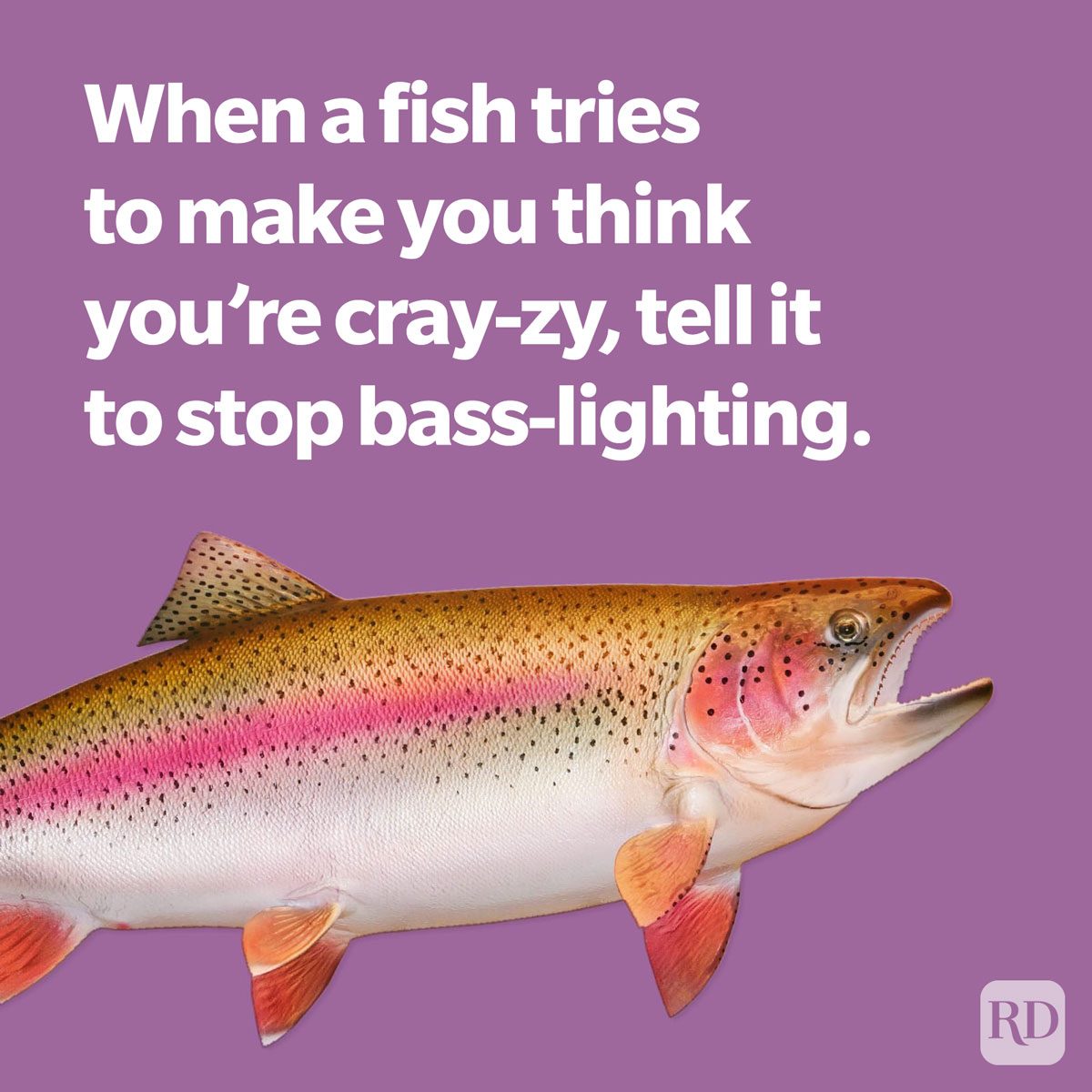 Fish pun about bass-lighting