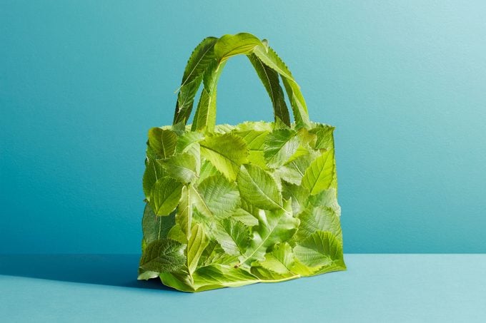 Reusable Shopping Tote Bag Made Of Leaves on Blue Background