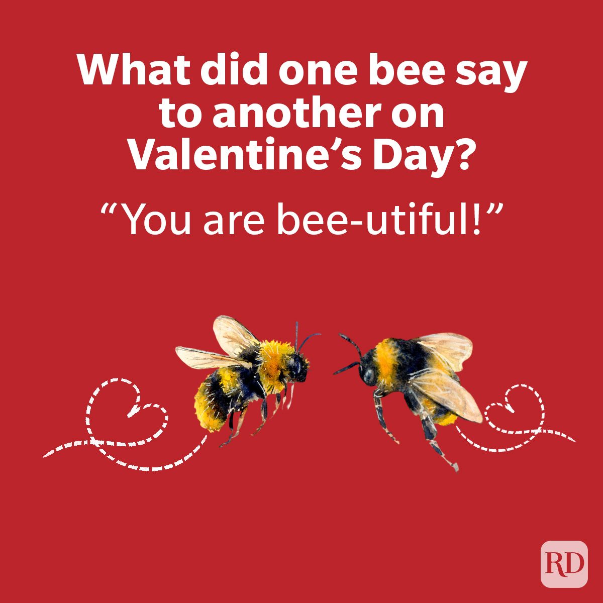Cute Valentine's Day Jokes About Love