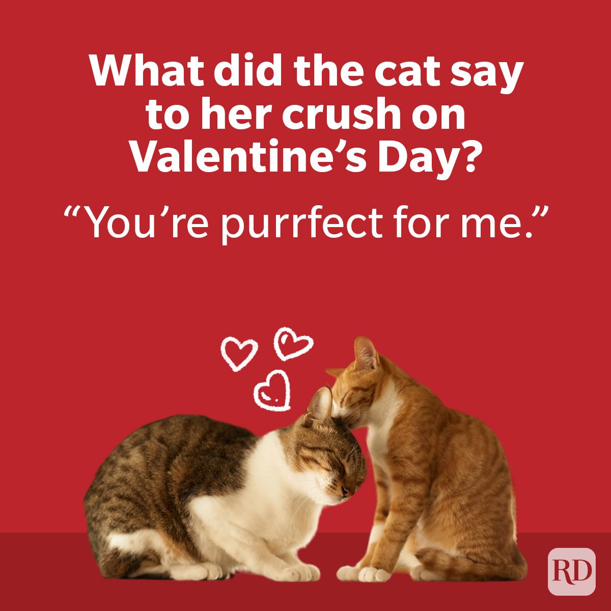 Funniest Valentine's Day Jokes