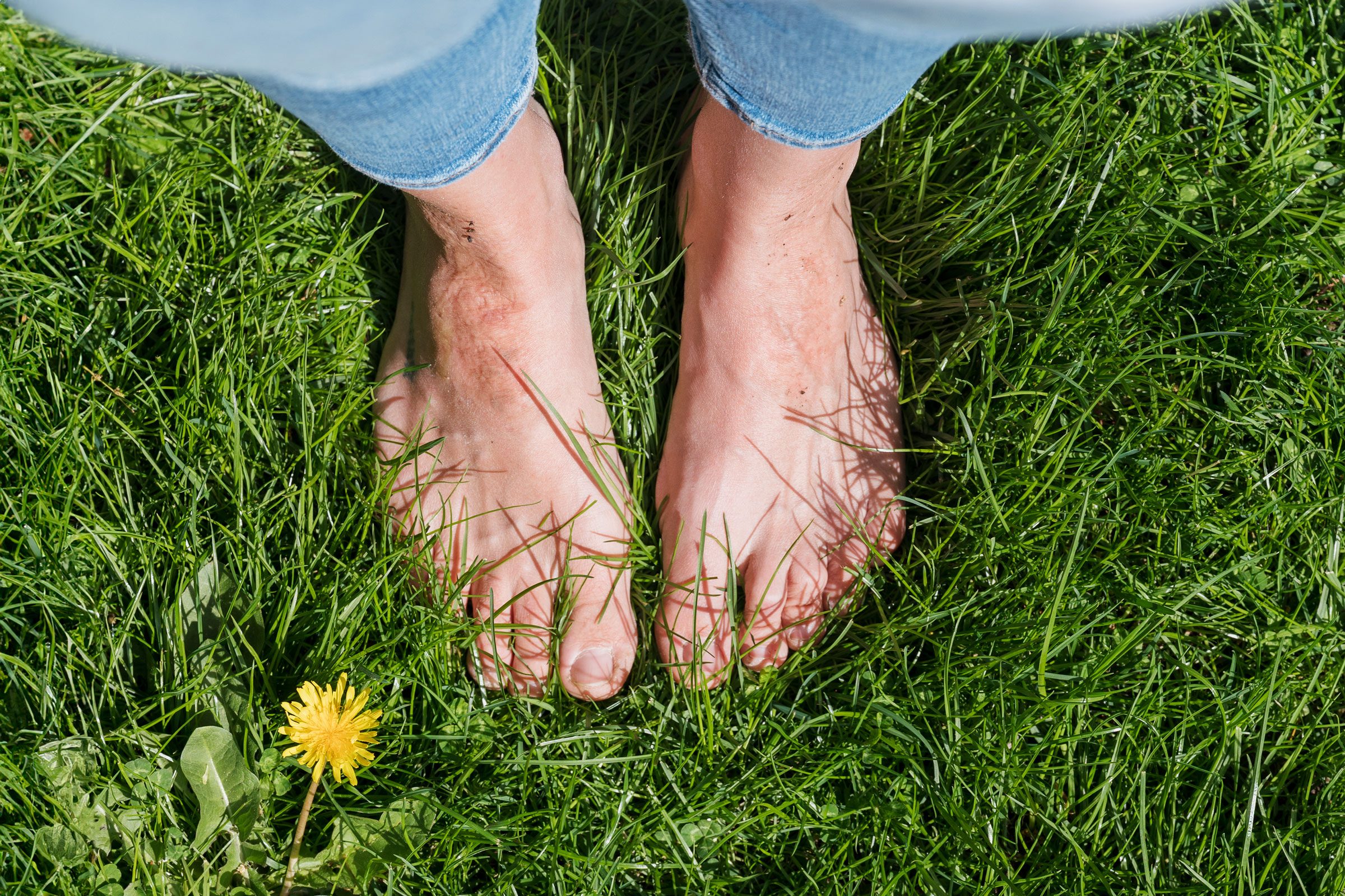 woman's feet barefoot in the grass