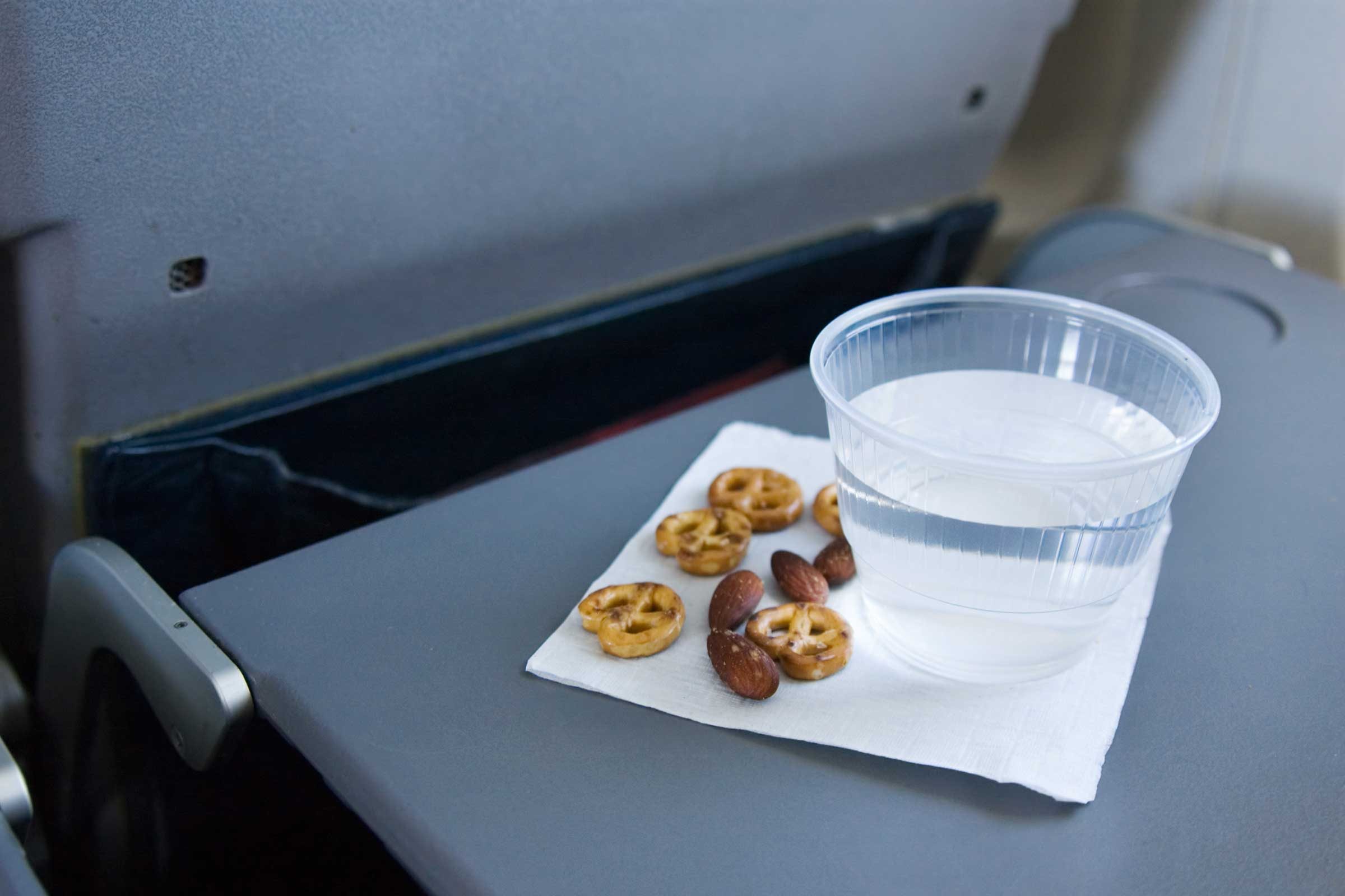 Image result for food on tray table flight