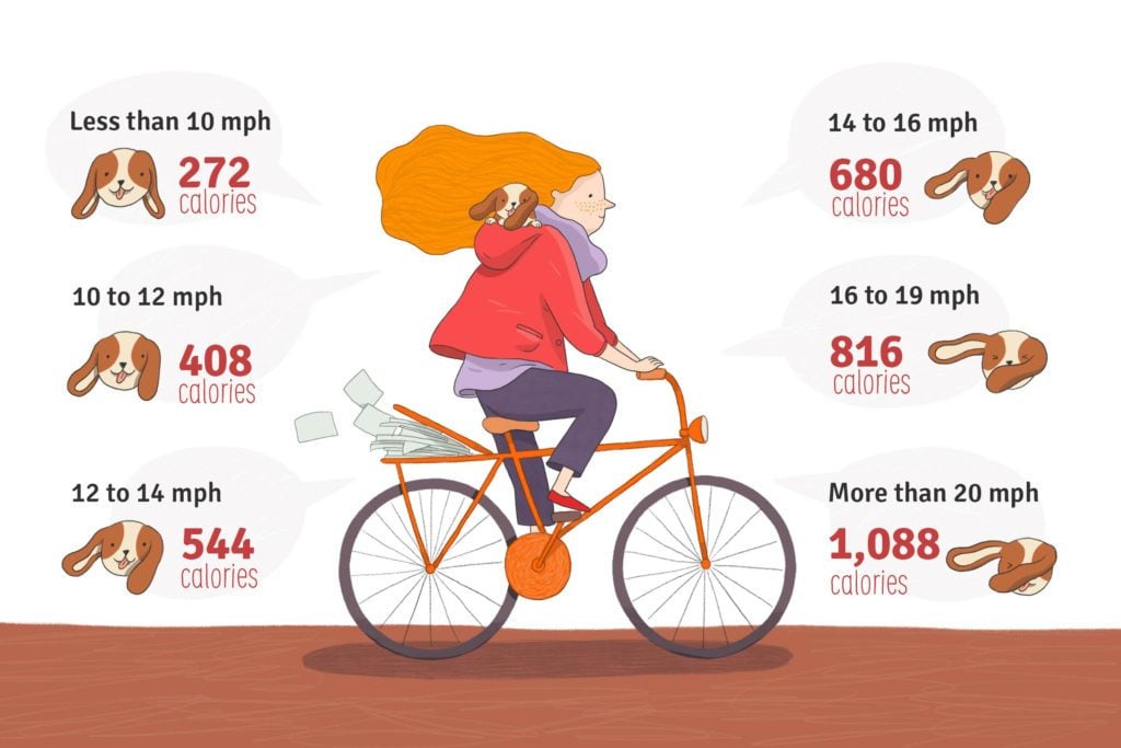 Leisure Cycling Calories Burned
